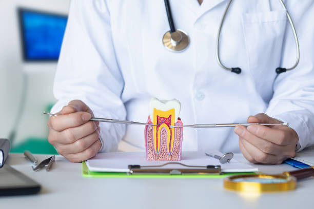 Best Emergency Tooth Extraction in River Ridge, LA